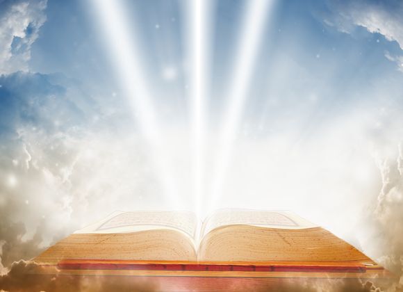"Благодатный книжный свет".